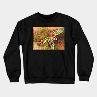 Macaw 11 Crewneck Sweatshirt